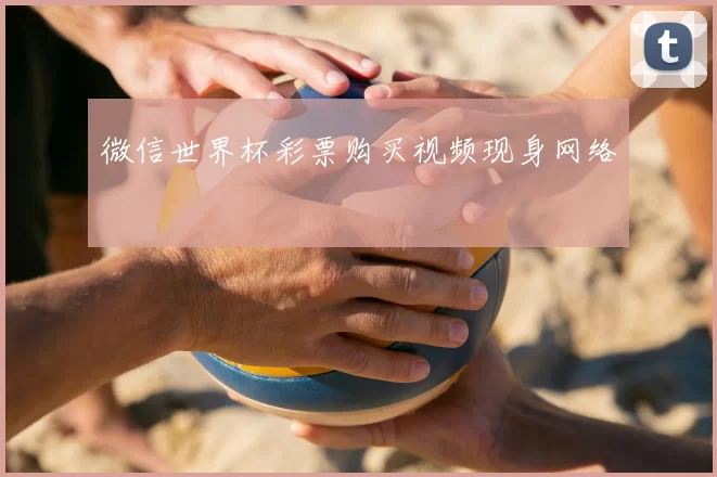 微信世界杯彩票购买视频现身网络