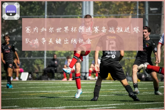 塞内加尔世界杯预选赛备战推进 球队力争关键出线机会
