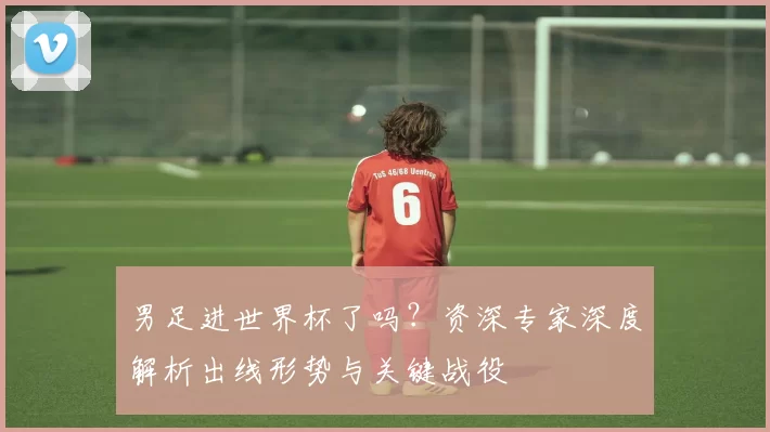 男足进世界杯了吗?资深专家深度解析出线形势与关键战役