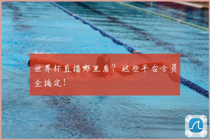 世界杯直播哪里看?这些平台会员全搞定!