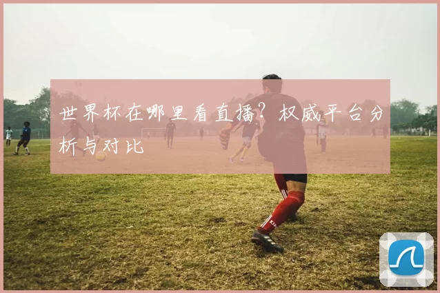 世界杯在哪里看直播?权威平台分析与对比