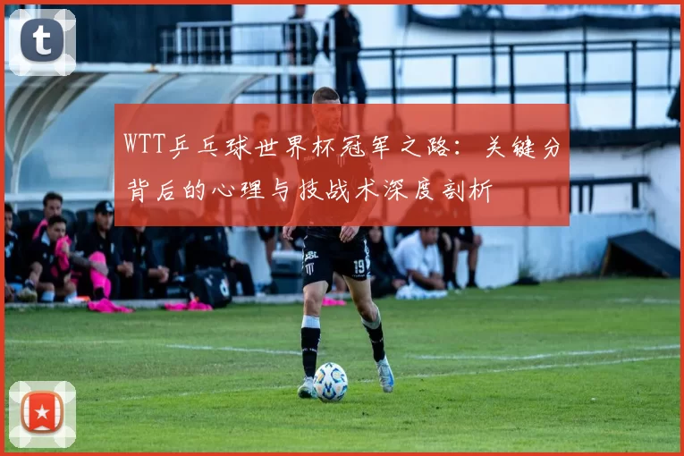 WTT乒乓球世界杯冠军之路：关键分背后的心理与技战术深度剖析