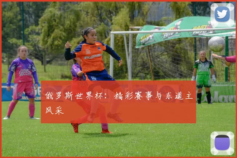 俄罗斯世界杯：精彩赛事与东道主风采