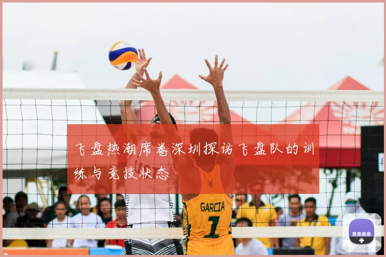 飞盘热潮席卷深圳探访飞盘队的训练与竞技状态