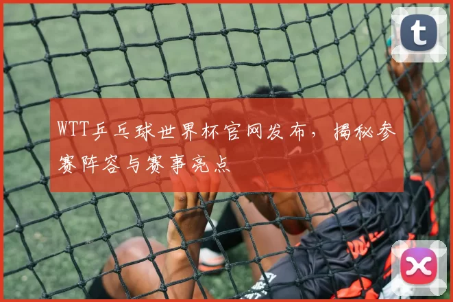 WTT乒乓球世界杯官网发布，揭秘参赛阵容与赛事亮点