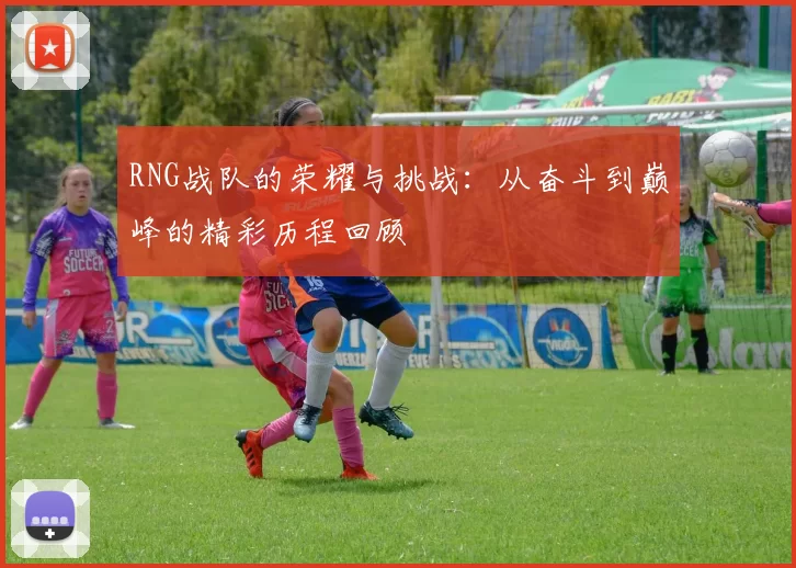 RNG战队的荣耀与挑战：从奋斗到巅峰的精彩历程回顾