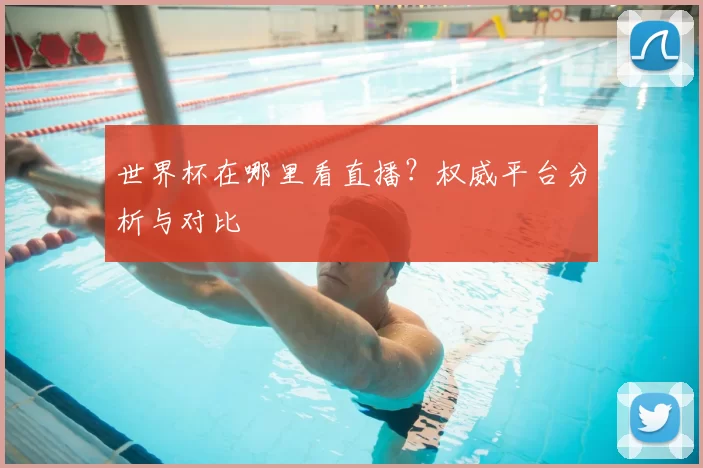 世界杯在哪里看直播？权威平台分析与对比