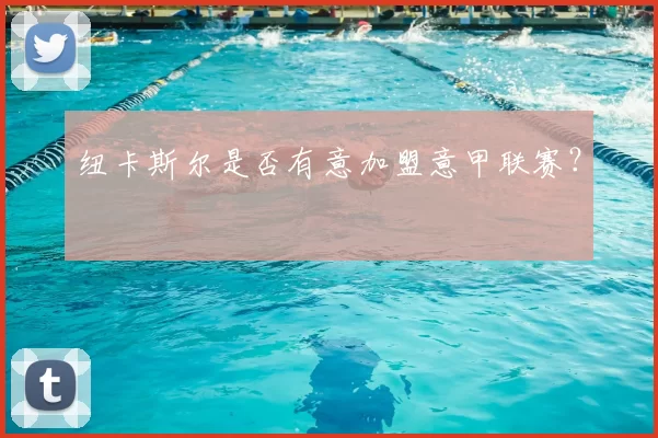 纽卡斯尔是否有意加盟意甲联赛?
