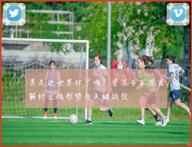 男足进世界杯了吗?资深专家深度解析出线形势与关键战役