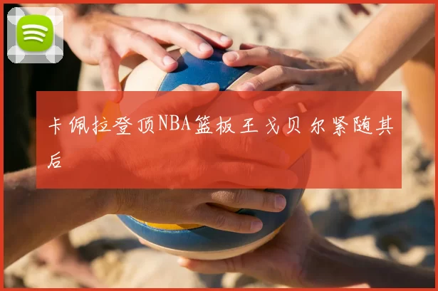 卡佩拉登顶NBA篮板王戈贝尔紧随其后